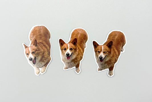 オリジナルステッカー制作｜用途別・小ロット対応